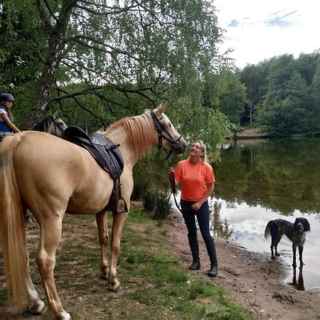 L'Echappee Verte - Gite Equestre 5 Pers Soucht Luaran gambar