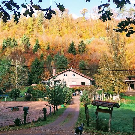 L'Echappee Verte - Gite Equestre 5 Pers Soucht Luaran gambar