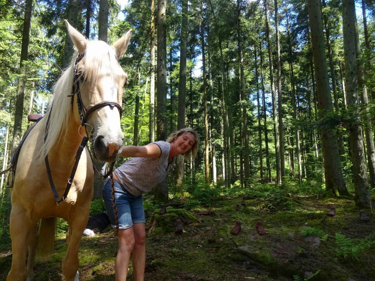 L'Echappee Verte - Gite Equestre 5 Pers Soucht Luaran gambar