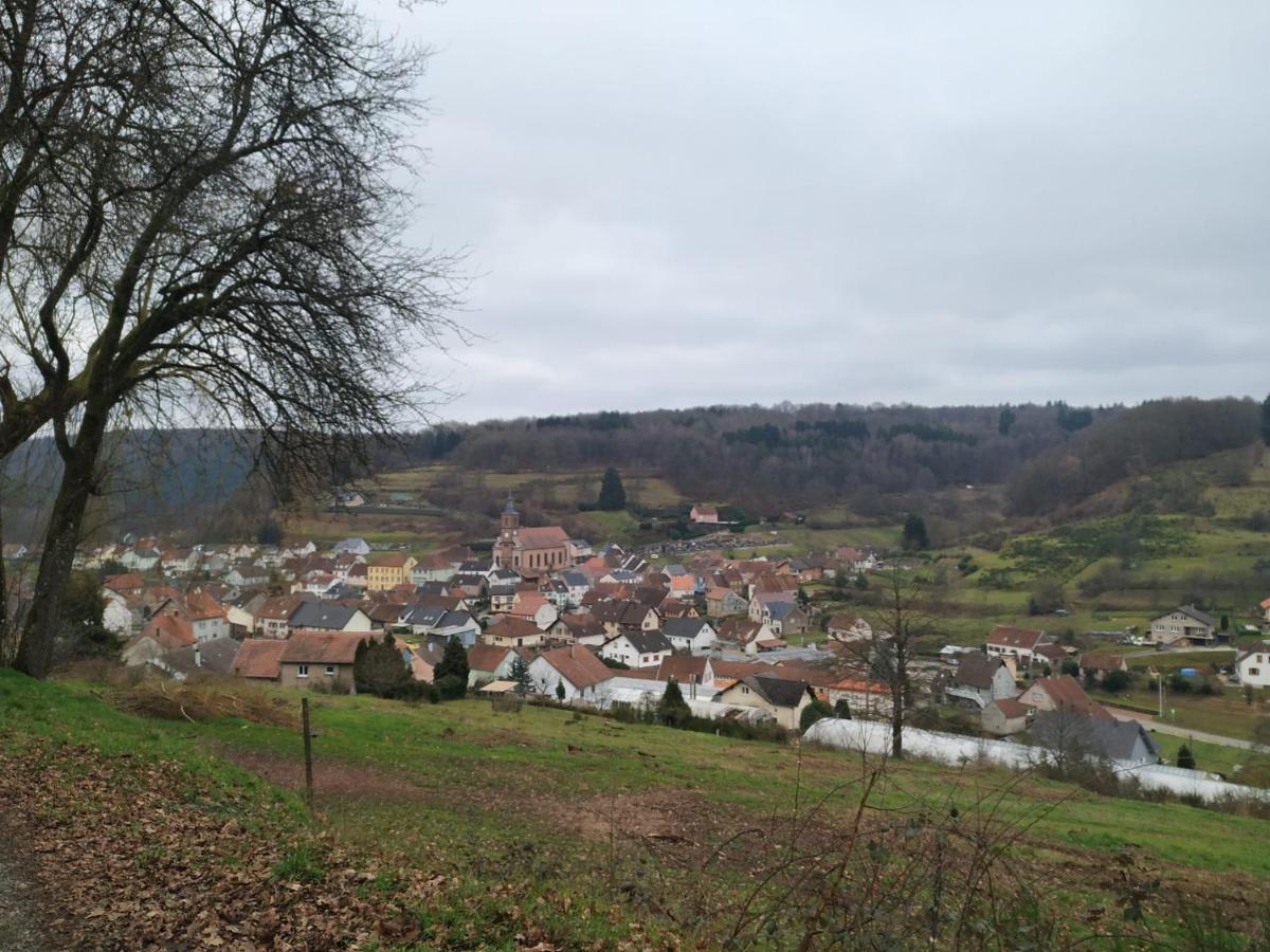 L'Echappee Verte - Gite Equestre 5 Pers Soucht Luaran gambar