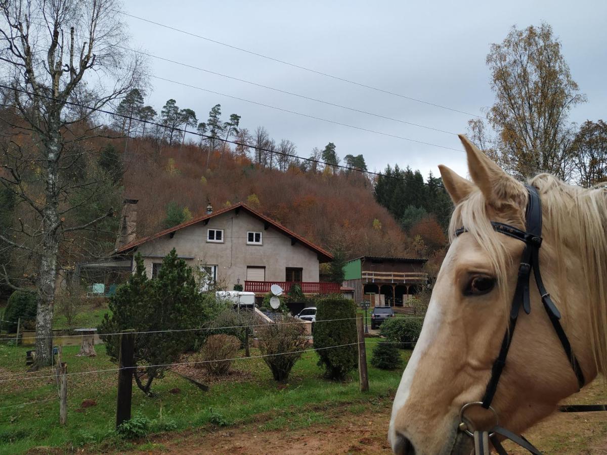L'Echappee Verte - Gite Equestre 5 Pers Soucht Luaran gambar