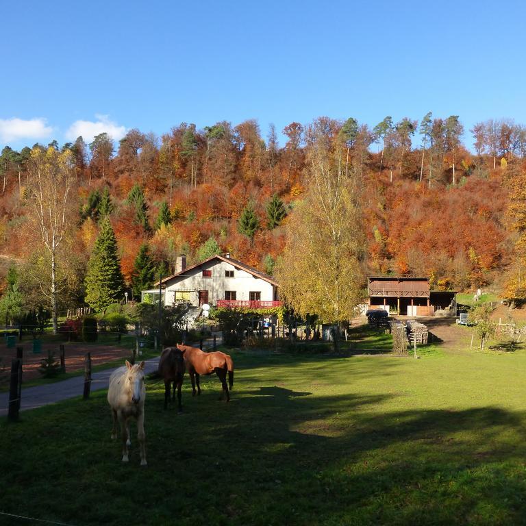 L'Echappee Verte - Gite Equestre 5 Pers Soucht Bilik gambar