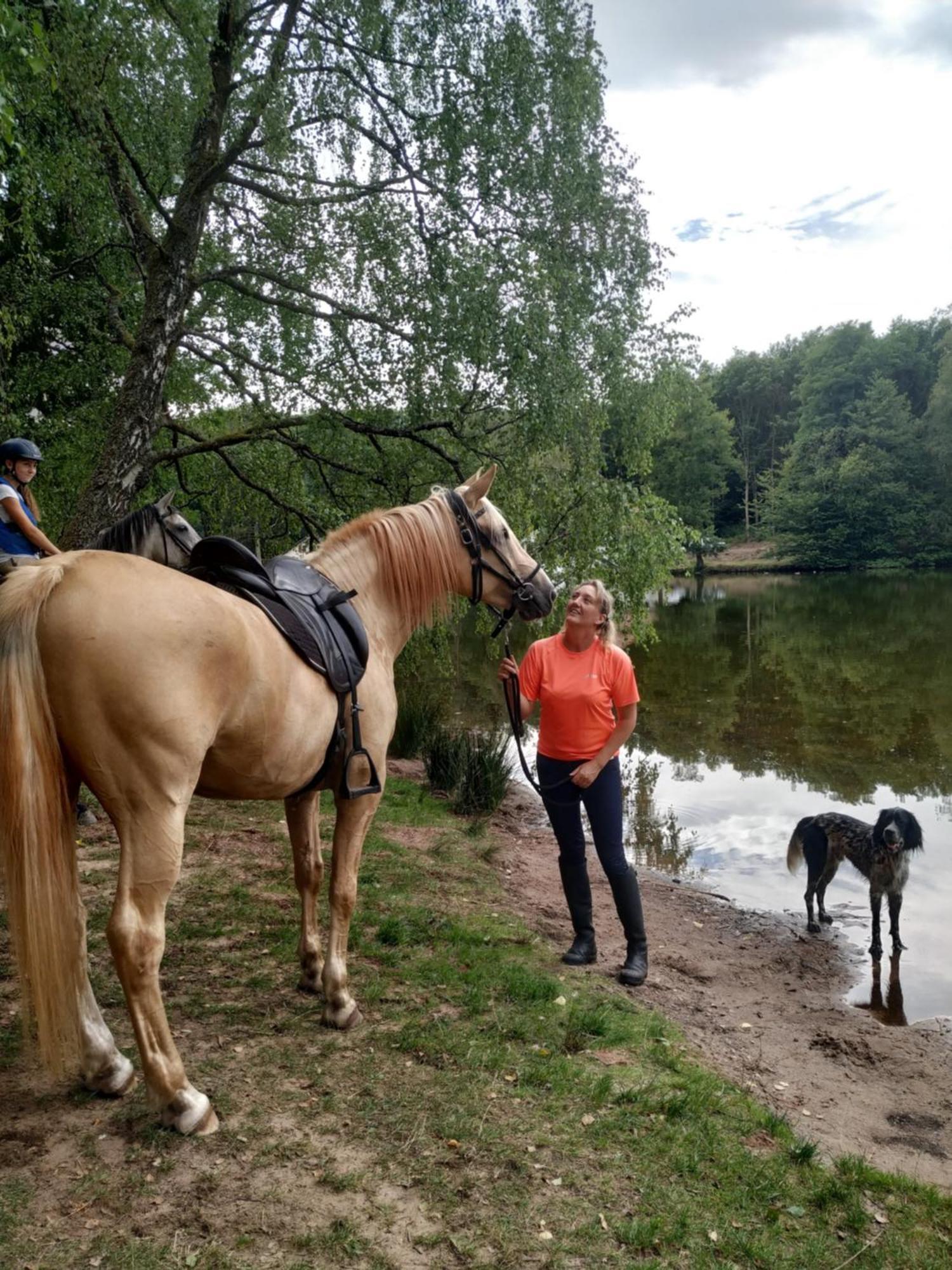 L'Echappee Verte - Gite Equestre 5 Pers Soucht Luaran gambar