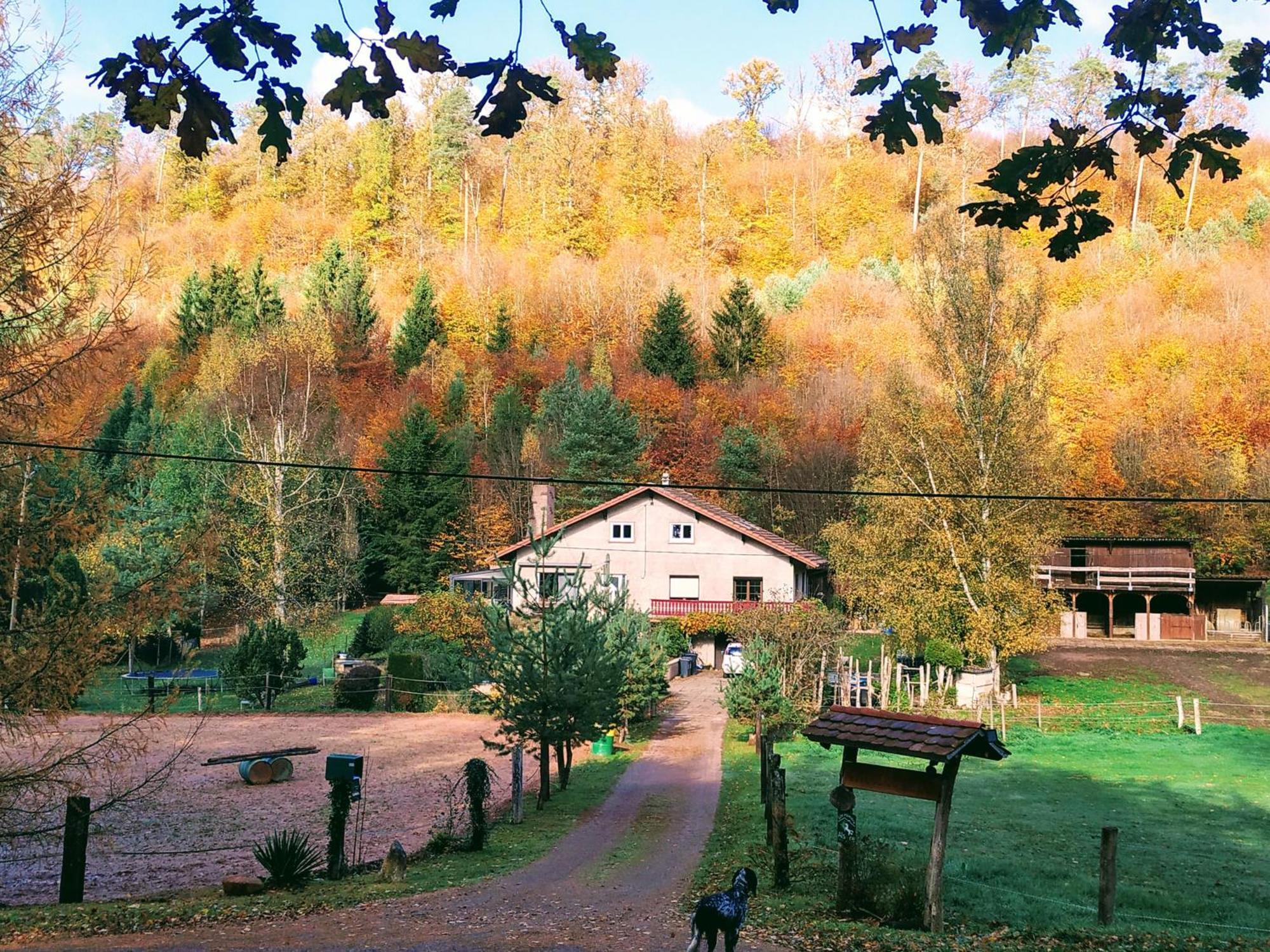 L'Echappee Verte - Gite Equestre 5 Pers Soucht Luaran gambar