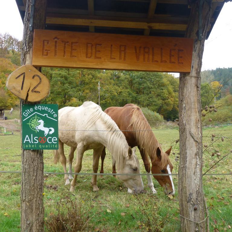 L'Echappee Verte - Gite Equestre 5 Pers Soucht Luaran gambar