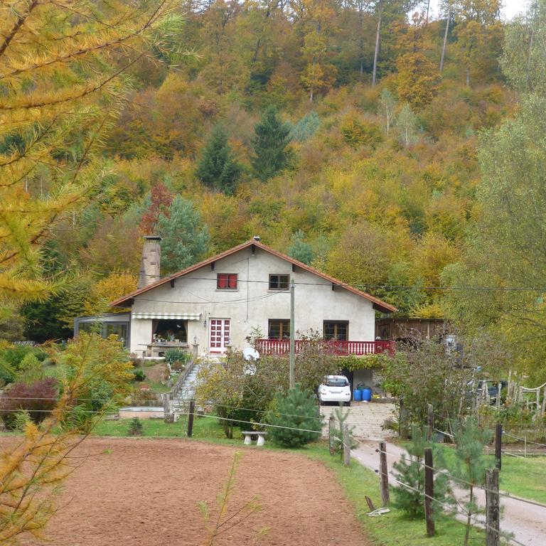 L'Echappee Verte - Gite Equestre 5 Pers Soucht Luaran gambar