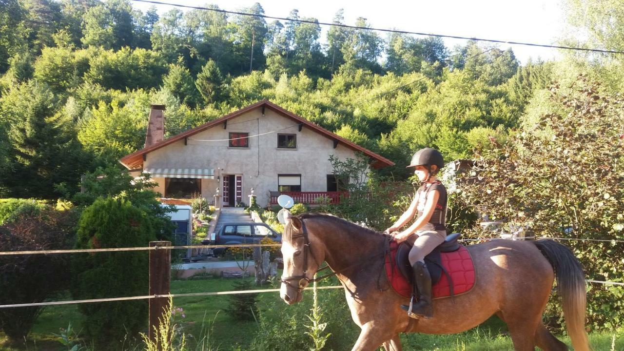 L'Echappee Verte - Gite Equestre 5 Pers Soucht Luaran gambar